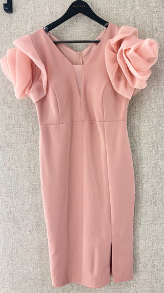 Rose sleeves dress-Blush